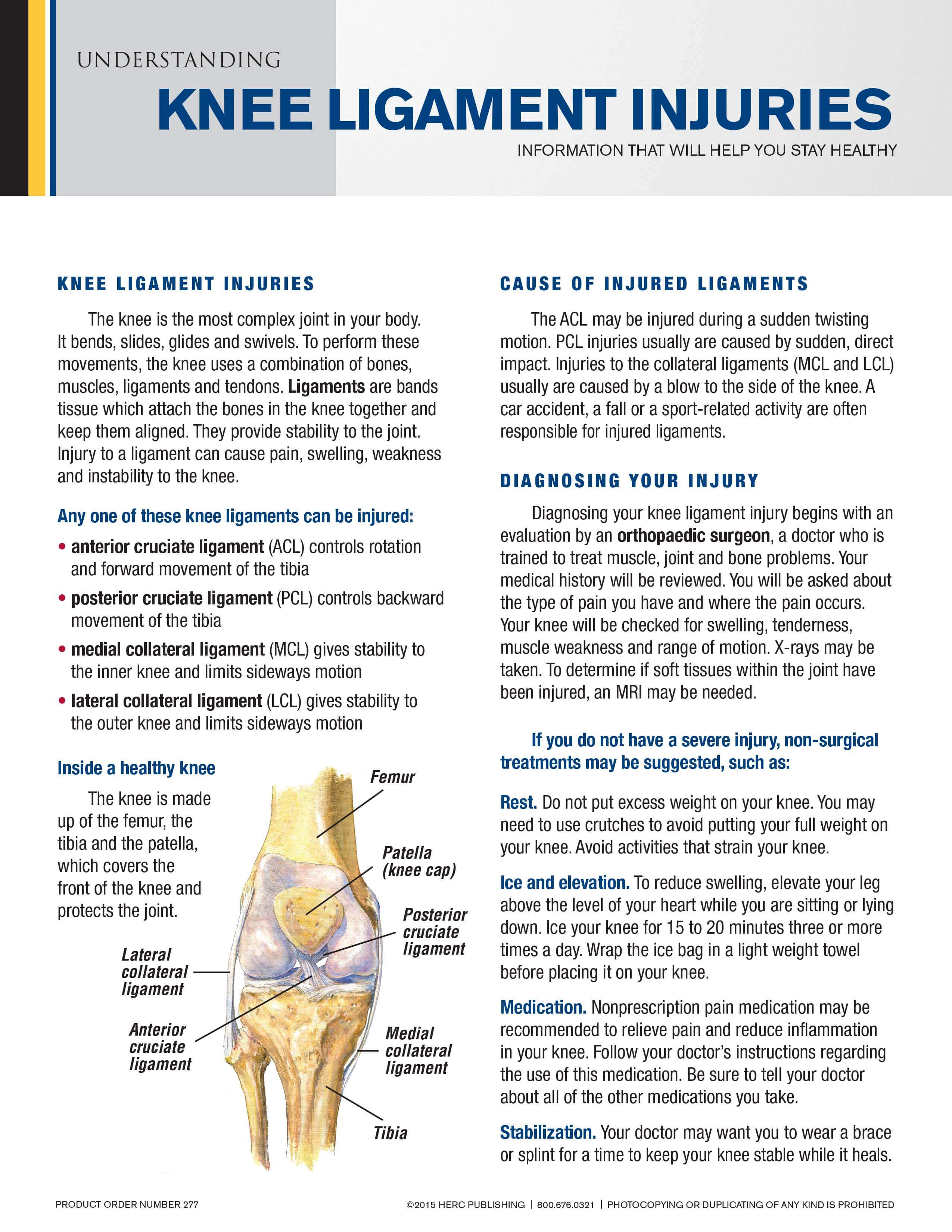 Understanding Knee Ligament Injuries HERC Publishing